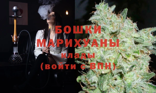 СК Ельня