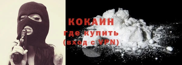 СК Ельня