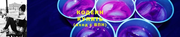 СК Ельня