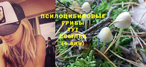 герыч Елабуга