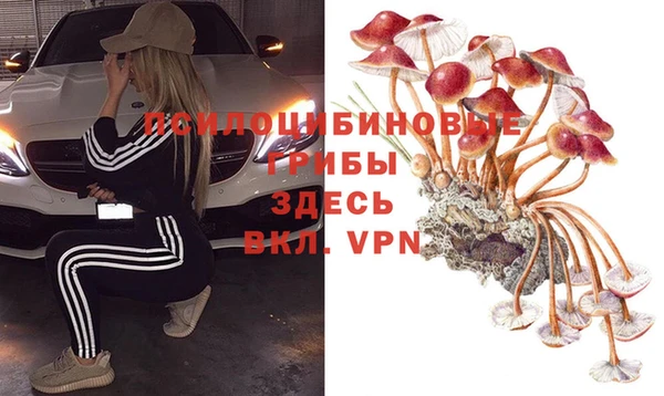 СК Ельня