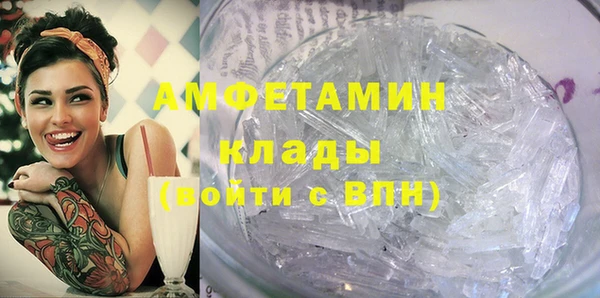 СК Ельня