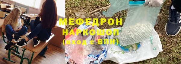 СК Ельня