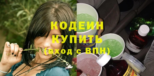 сатива Дмитриев