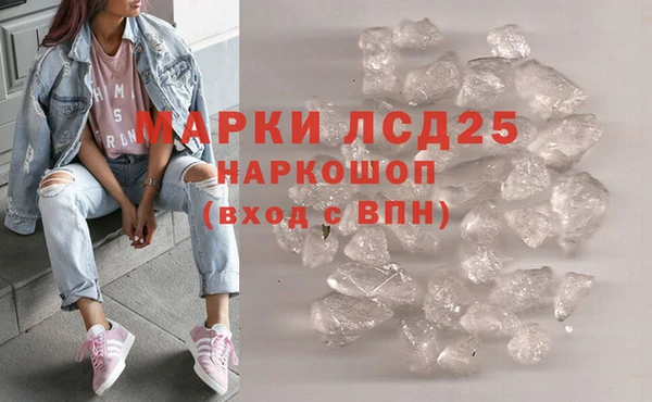 СК Ельня